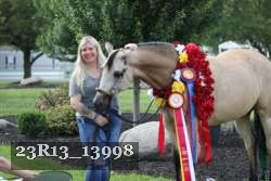 23R13_13998 thumbnail